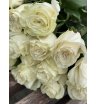 Букет из белых роз «Лимонад» 1